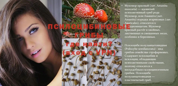 круглые Алзамай
