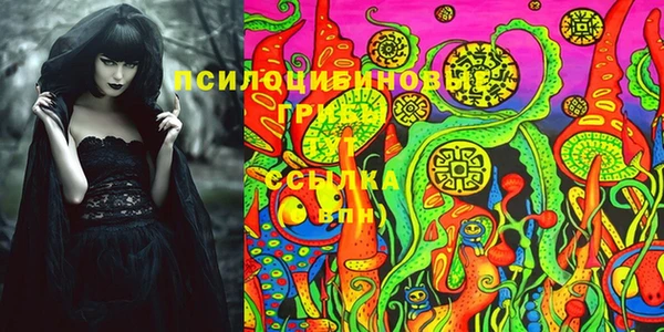 бутират Алексин