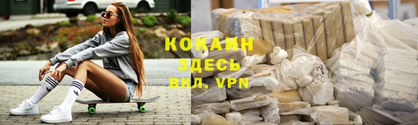 гидра Алексеевка